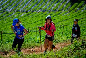 BIB: 100
                            <button type="button" onclick="openModal(19164381)" class="btn btn-primary btn-sm float-right btn-popup" data-toggle="modal" data-target=".modal-high-quality">
                        <i class="fas fa-shopping-cart"></i> Add to Cart
                    </button>
                                            <button type="button" onclick="isThisMe(19164381, true)" class="btn btn-success btn-sm float-right btn-popup btn-isme hidden" data-toggle="tooltip" data-placement="bottom" title="นี่คือรูปของคุณใช่ไหม คลิกที่นี่เพื่อเอาเข้าอัลบั้ม">
                        <i class="fas fa-plus"></i> Add to album
                    </button>
                    <button type="button" onclick="isThisMe(19164381, false)" class="btn btn-warning btn-sm float-right btn-popup btn-isnotme hidden">
                        <i class="fas fa-ban"></i> Remove from album
                    </button>